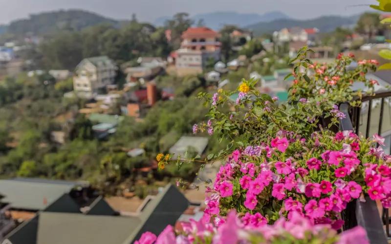 Villa Đà Lạt - D'art Sunshine Villa