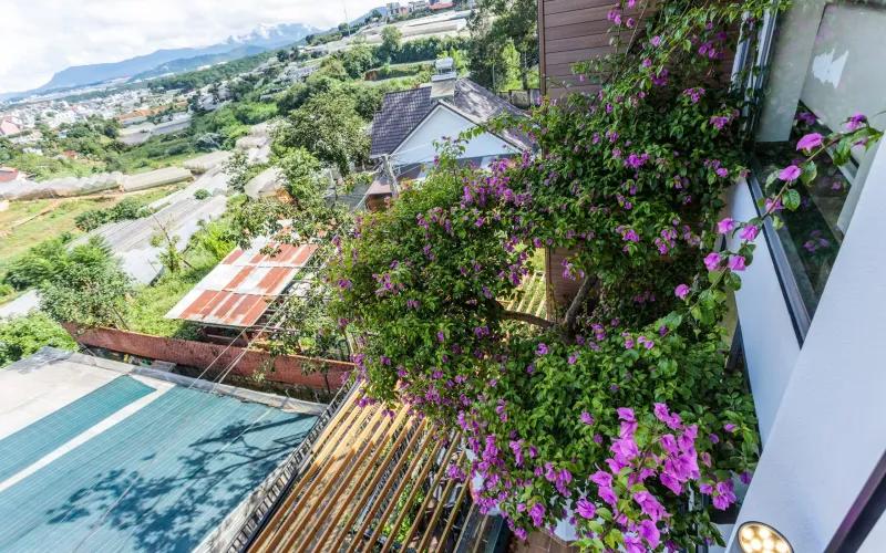 Villa Đà Lạt - D'art Villa Nam Hồ