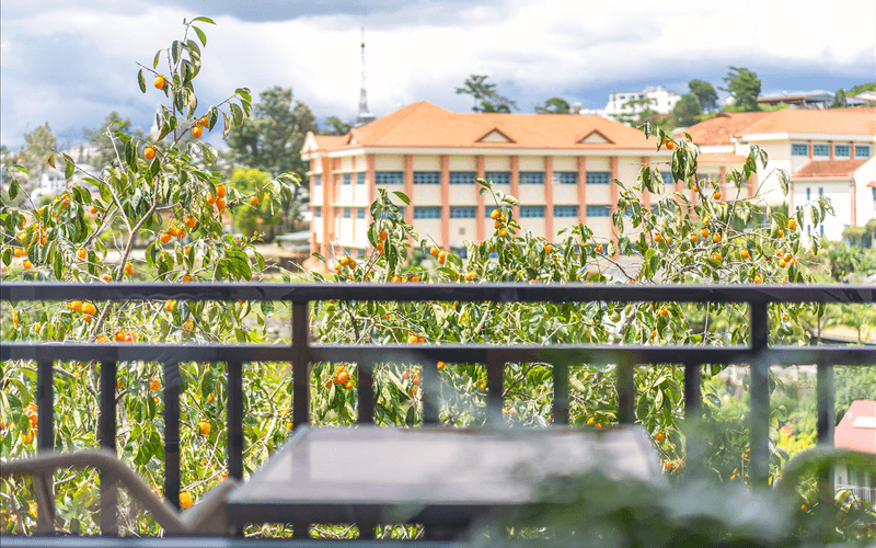 Villa Đà Lạt AK Villa - Sang trọng tinh tế, view đẹp