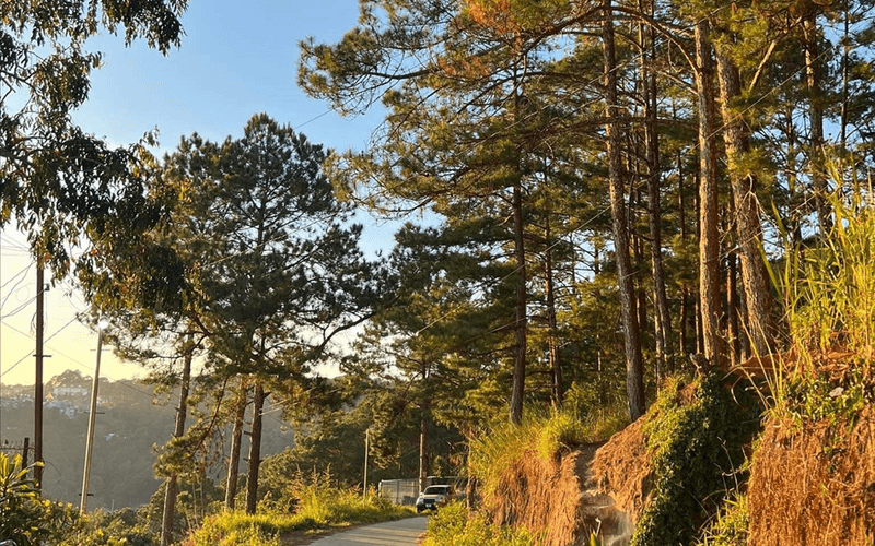 DALAT HOME 11