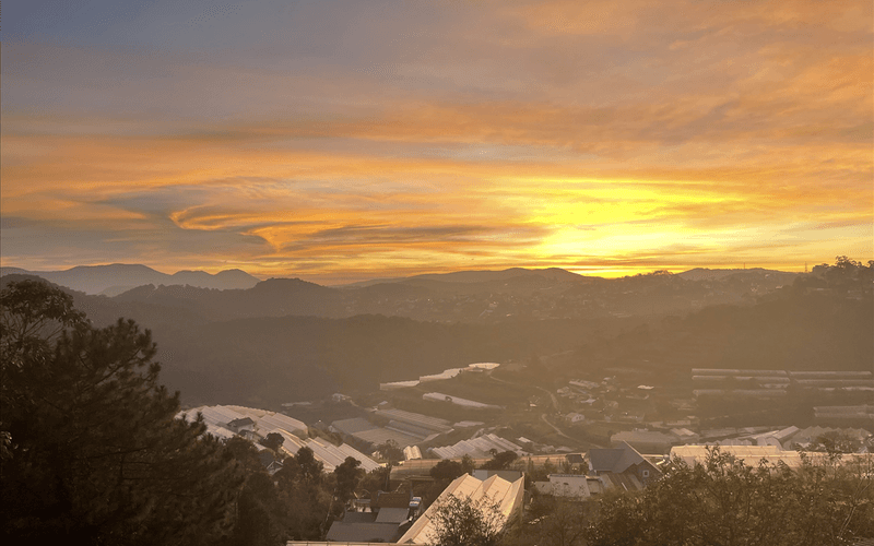 DALAT HOME 11