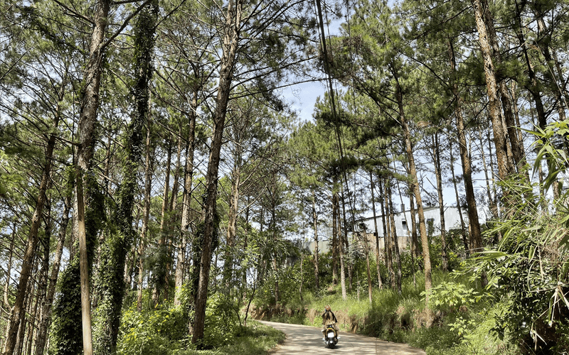 DALAT HOME 11