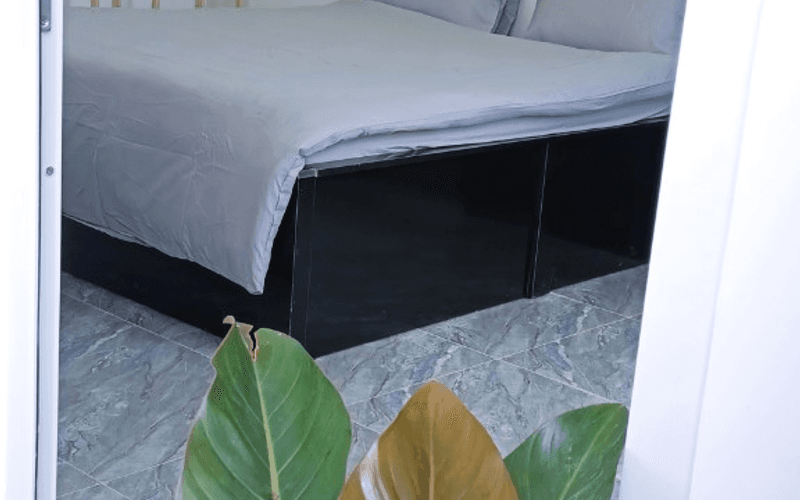 Homestay Đà Lạt - Lulu House