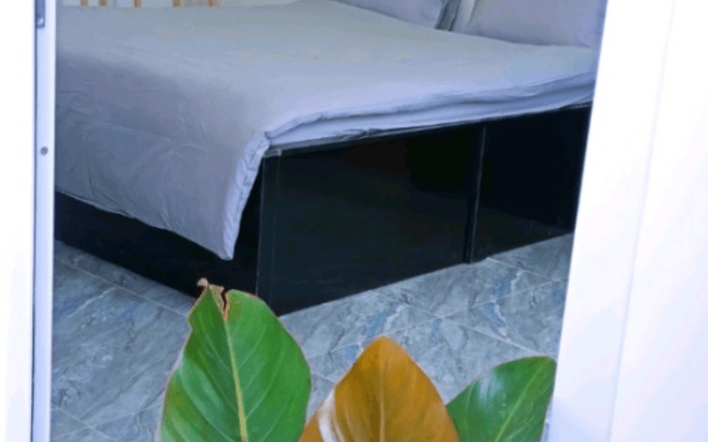 Homestay Đà Lạt - Lulu House