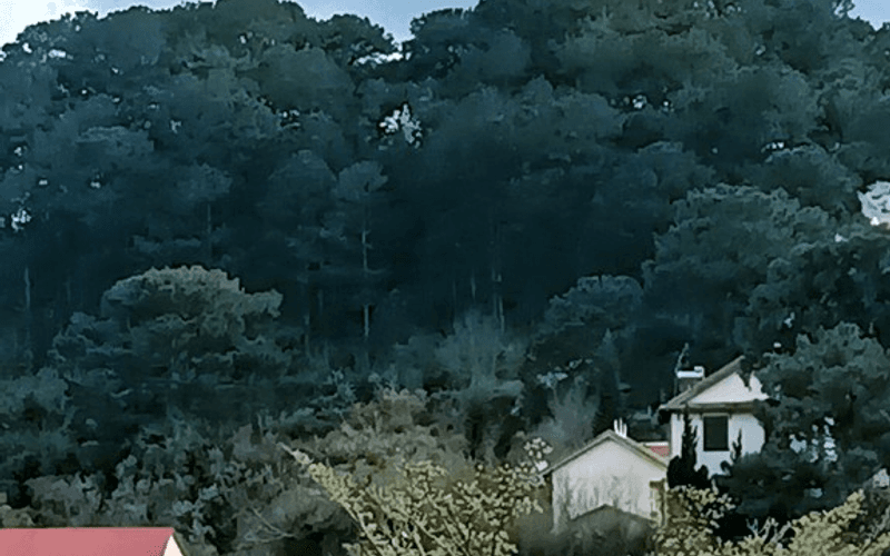 Homestay Đà Lạt - Lulu House