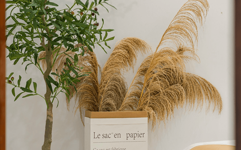 Homestay Đà Lạt - Min House