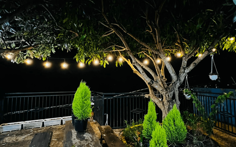 Villa Đà Lạt - Villa Nhà Gỗ