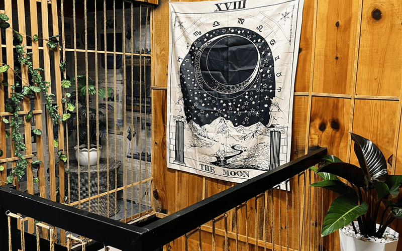 Villa Đà Lạt - Villa Nhà Gỗ