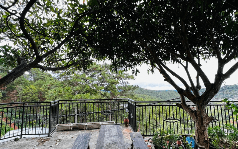 Villa Đà Lạt - Villa Nhà Gỗ