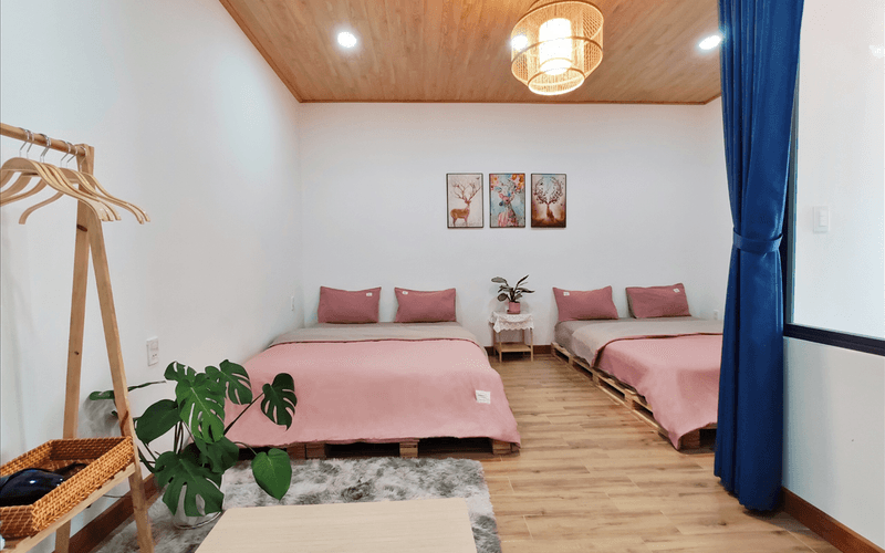 Homestay Đà Lạt - Dendy House