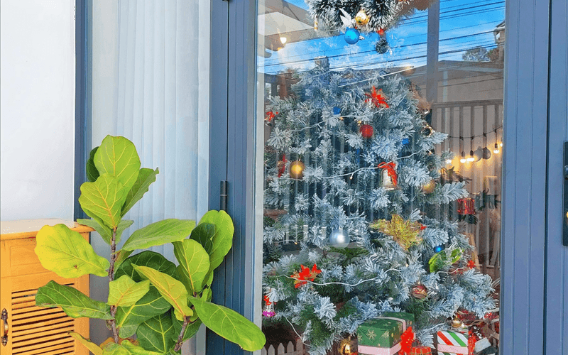 Homestay Đà Lạt - Dendy House