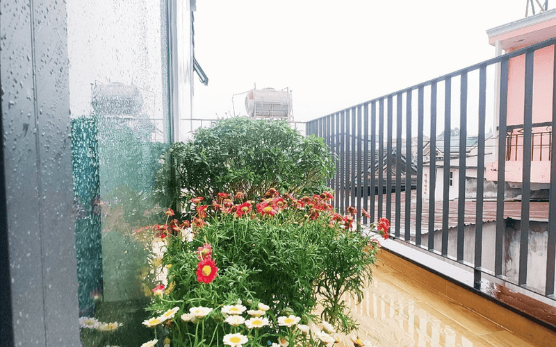 Homestay Đà Lạt - Dendy House