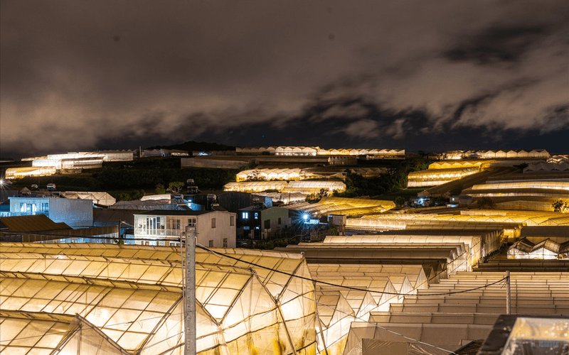 Villa Đà Lạt - Mailisa Villa