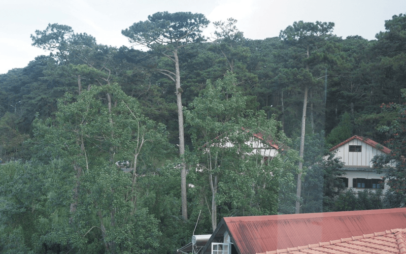 Villa Đà Lạt - Sans Souci Villa