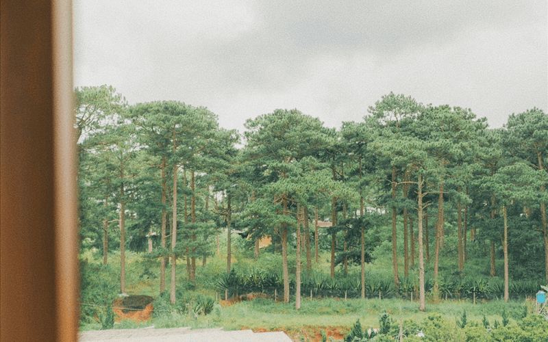 Homestay Đà Lạt - Muco Jas