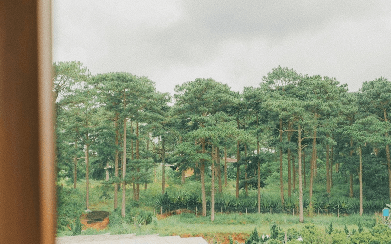 Homestay Đà Lạt - Muco Rose