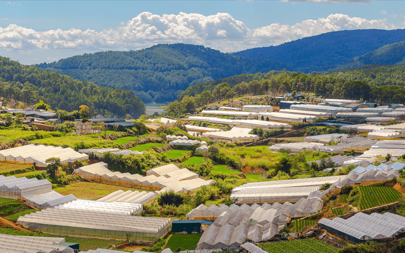 Villa Đà Lạt - The Hill Villa An Sơn