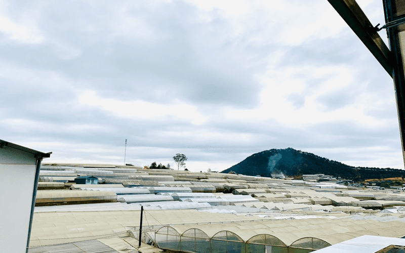 Villa Đà Lạt - Villa Ngô Gia Tự