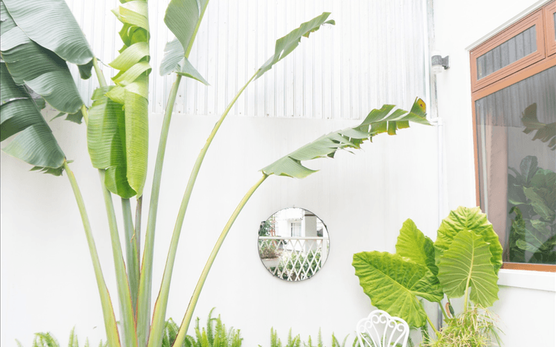 Homestay Đà Lạt - Nhà Của Tít