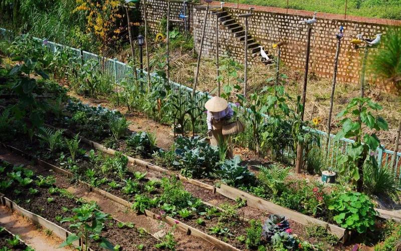 Villa Đà Lạt - The Kim Villa