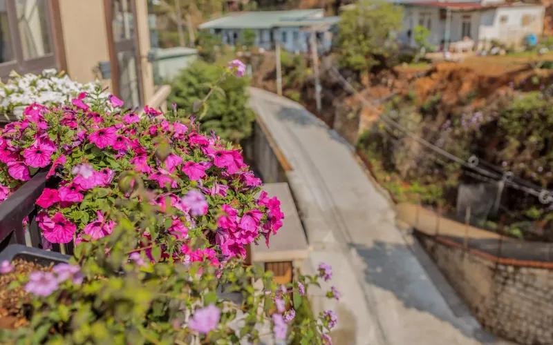 Villa Đà Lạt - D'art Sunshine Villa